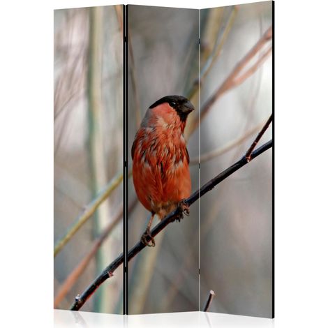 Paravento - Bullfinch in the forest [Room Dividers] - 135x172 (1/4)