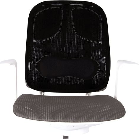 Fellowes 8029901 Supporto Schiena in Rete Professional Series, Nero (1/4)