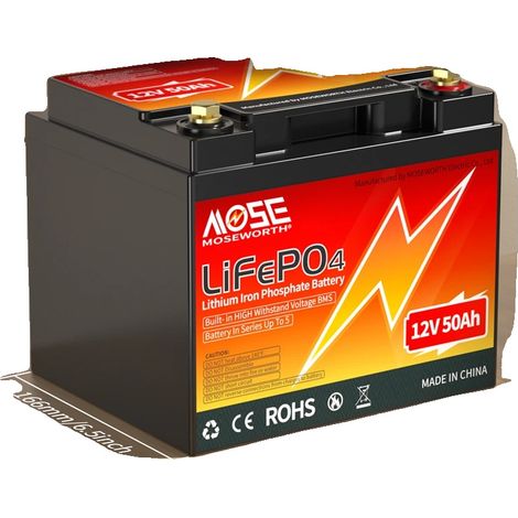 Batterie LiFePO4, Longue Durée de Vie, Compatibilité Polyvalente, 12V 50Ah (1/2)