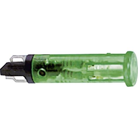 RAFI 1.69.508.870/1503 Spia di segnalazione con lampadina Verde 1 pz. (1/2)