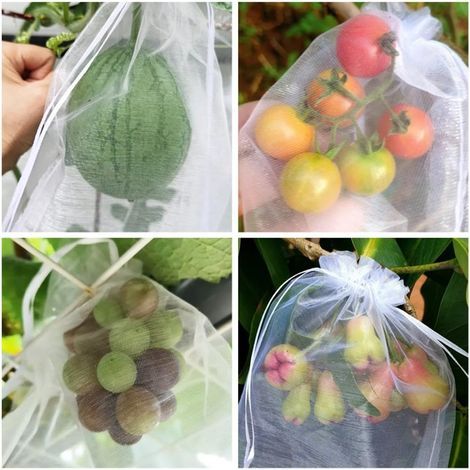 Lot de 100 sacs de protection pour arbres et plantes, en organza, lavables et réutilisables, 20 x 30 cm (1/5)