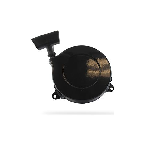Avviamento BRIGGS et STRATTON 499706 - 690101