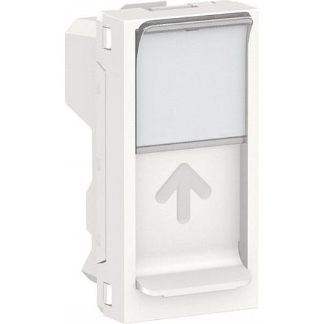 Abdeckung RJ45 1 Polar Keystone-Modul SCHNEIDER NU946018
