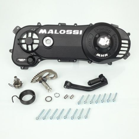 Malossi Air Force Getriebegehäuse für Scooter Derbi 50 GP1 (1/5)