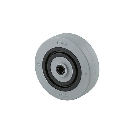 Polyamid-Rad  grau  Rollenlager  Rad-Ø x Breite 100 x 36 mm (1/3)