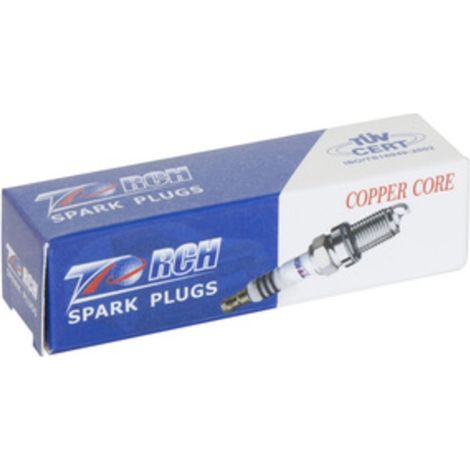 CANDELA 21C TORCH GL4C P/RASAERBA