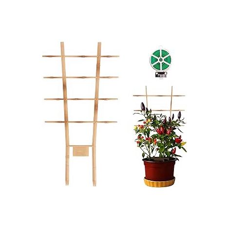 Soporte de plástico para plantas trepadoras (3 unidades).