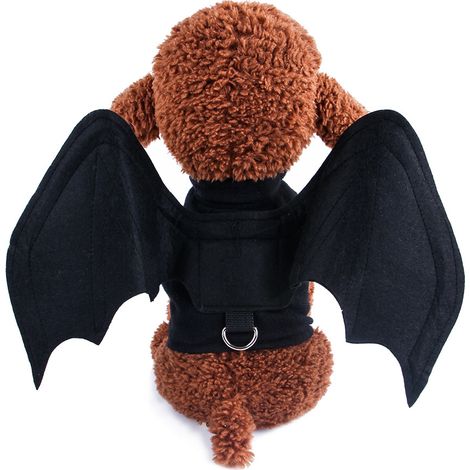Halloween-Kostüm für Hunde und Katzen mit Fledermausflügeln und Kürbis, faltbar, einfarbig, Haustierkleidung. (1/5)