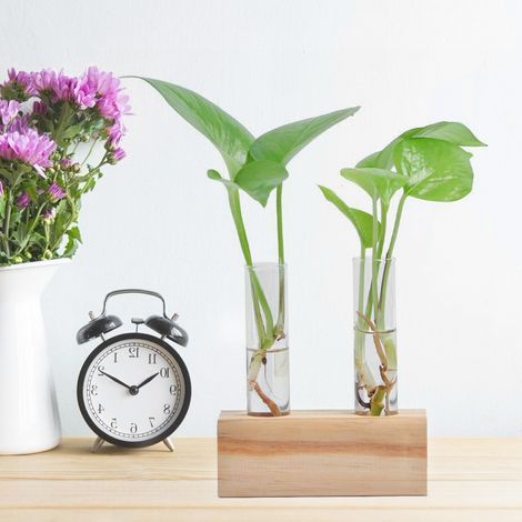 Tube à essai en verre, pot de fleurs, vase pour plantes hydroponiques, terrarium, décoration intérieure avec support (1/5)