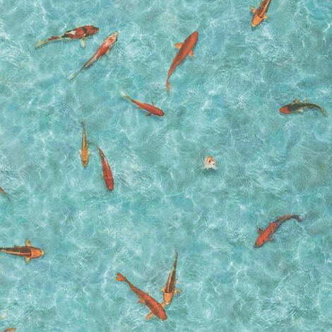 Décoweb – Sol PVC en rouleau effet poisson Koï japonais – Dimensions 1m x 5m – Épaisseur 2,5mm – Résistance au glissement R10 (1/5)