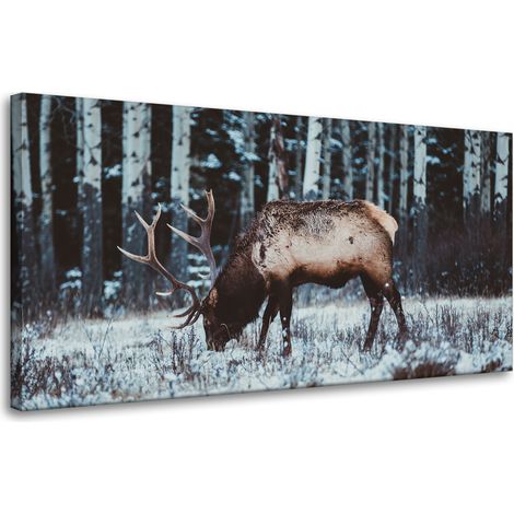 Leinwanddruck Tiere Kanadischer Hirsch 80x40