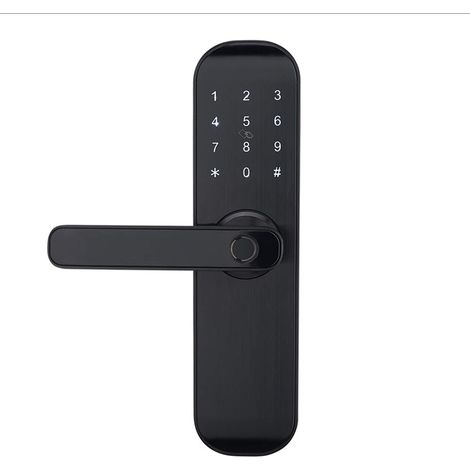 Serrure numérique Bluetooth à déverrouiller avec carte, code, application (porte gauche uniquement) (1/5)