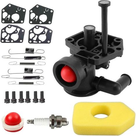 Carburateur 795477, ressort 698719, 691859, 692211, filtre à air 698369, kit carburateur Britton 795083, 495770 avec filtre à air et ressort (1/5)