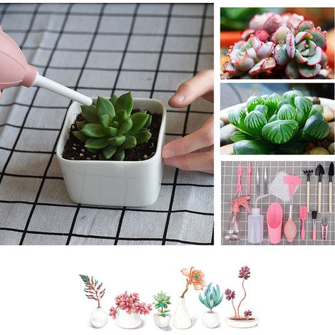 Kit 16 outils de jardinage miniatures pour plantes succulentes, kit DIY de plantation et entretien (1/5)
