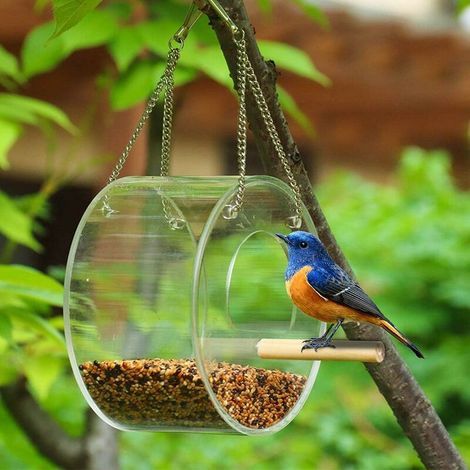 Rundes, halboffenes Vogelhaus aus transparentem Acrylglas zum Aufhängen mit Metallkette für Veranda/Balkon (1/5)