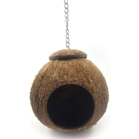 Noix de Coco Coque Oiseau Cage, Oiseau Maison Lit pour Animal de Compagnie Perroquet Perruche Perruche Calopsitte Élégante Conure Canari Finch Cage Hamster Rat Gerbille Souris Cage Mangeoire Jouet