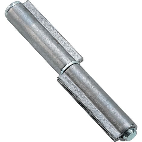 CERNIERA PER FERRO 2 ALI PERNO ACCIAIO 120 MM- COMBI ARIALDO- 24,0 pz