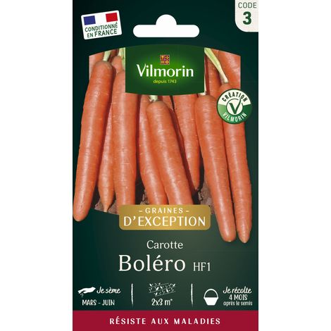 Vilmorin Carotte Boléro F1 - Graines d'Exception (1/2)