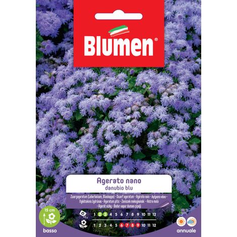 BUSTINA CON SEMI DI AGERATO NANO DANUBIO BLU