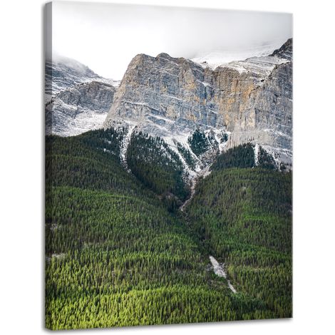 Leinwanddruck Natur Berghang Bäume 30x40