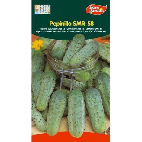 SEMILLAS FITO HORTICOLAS PEPINILLO SMR-58 (ENCURTIR)=00238