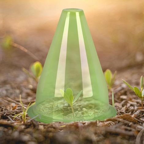 Runde, grüne und transparente glockenförmige Pflanzenabdeckung, die Pflanzen vor Schäden durch Frost und Vögel schützt. (1/5)