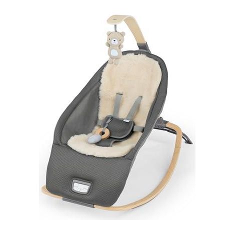 Ingenuity Every Season transat gris pour bébé 0-30 mois (1/3)