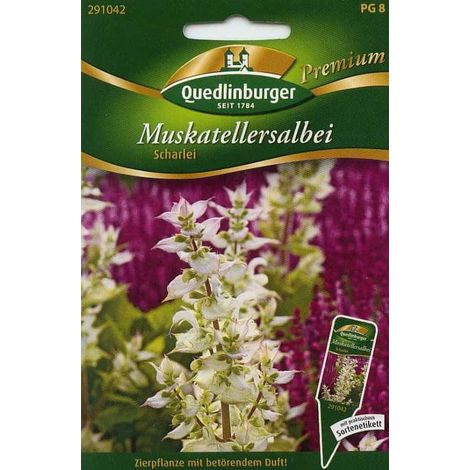 Quedlinburger Muskatellersalbei Scharlei - Kräutersamen (1/2)