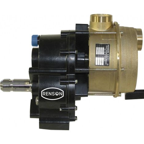 Renson – Pompe de surface autoamorçante pour eaux claires – Débit 480L/h – Profondeur d'aspiration 6m – Corps en laiton – Usage intensif (1/2)