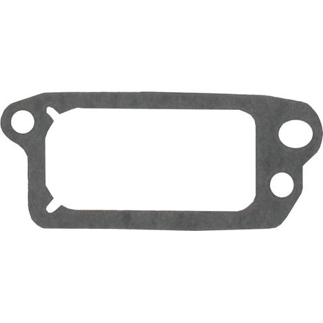 Joint de soupape BRIGGS ET STRATTON 695890