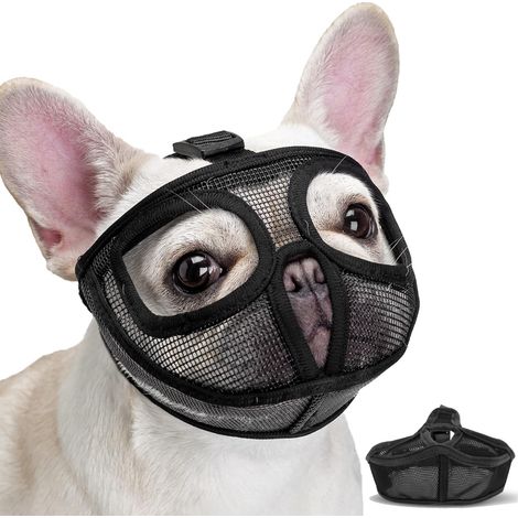 Mundschutz für Französische Bulldogge – Schwarz, Größe S – 1 Mundschutz für Französische Bulldogge – Schwarz, Größe S (1/5)