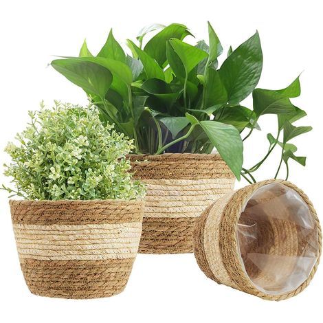 3Pcs Panier De Jardinière en Jonc De Mer, 3 Taille Pot De Plante Tissé Couverture De Pots De Fleurs Panier De Rangement Conteneurs De Plantes pour La Décoration Intérieure (Beige) (1/4)