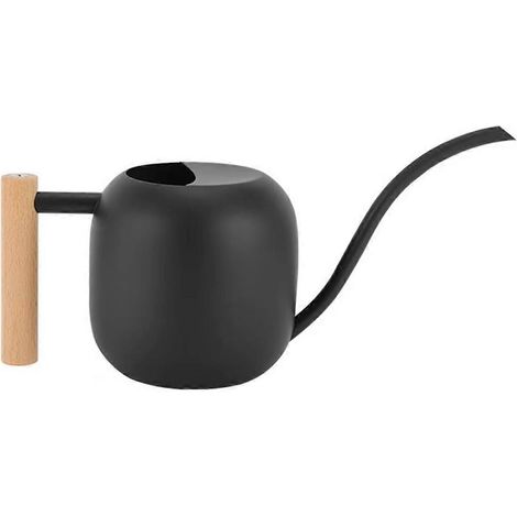 Arrosoir de 1200 ml avec poignée pour plantes et fleurs (1/5)
