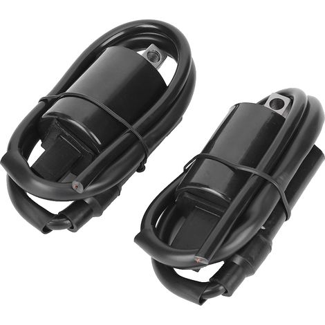 Deux bobines d'allumage, une courte et une longue, pour Yamaha Virago 1100 XV1100 (1986-1999) (1/5)