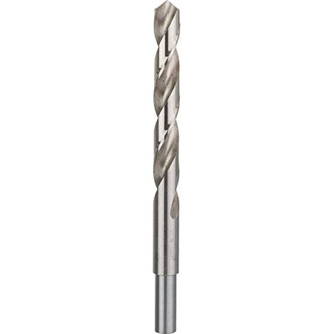 BOSCH - PUNTA PER METALLO12 MM IN  HSS-G (1/4)