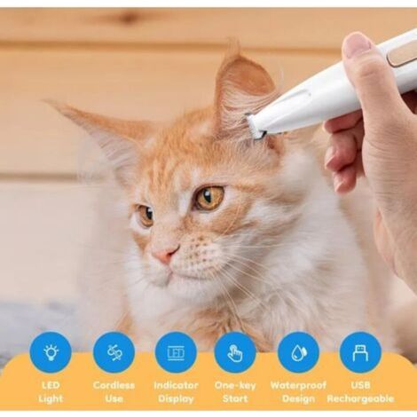 Tondeuse pour chien - Rasoir silencieux - Imperméable - Rechargeable - Lame en acier inoxydable (1/4)