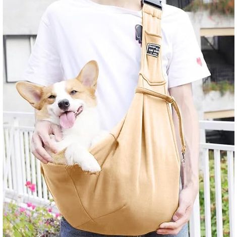 Sac de Transport Pliable pour Petit Chien et Chat (1/5)