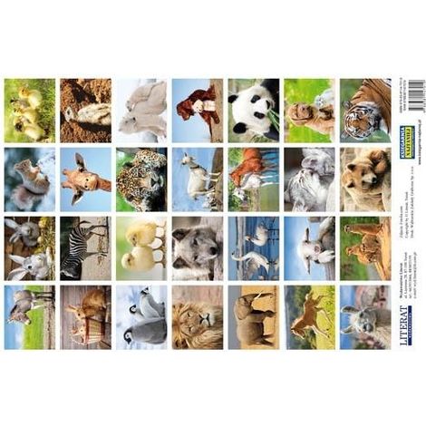 Autocollants animaux mignons (28 pièces)
