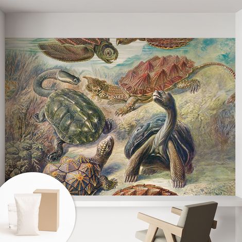 Newroom Tapete Dekorative Vliestapete mit Kleber Modern für Wohnzimmer Schlafzimmer Schildkrötenfauna 152x104 cm (1/5)