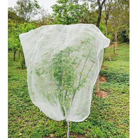 Filet de Protection pour Arbres Fruitiers 2.42.4m- Anti-Insectes & Oiseaux avec Cordon de Serrage - Filet Durable en Polyester pour Cerises/Fruits (Extérieur/Jardin) (1/5)