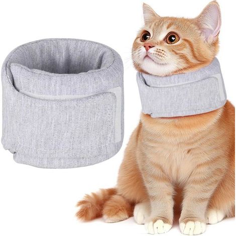 Collerette Chat Réglable - Pliable - Anti Léchage - Confortable