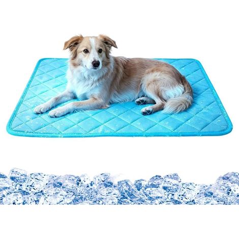 Tapis Rafraîchissant pour Chien Jeu respirant antidérapant et portable Tapis Rafraîchissant Extérieur Jardin Cage Camping Plage Intérieur Maison Extérieur Arrière-cour (1/5)