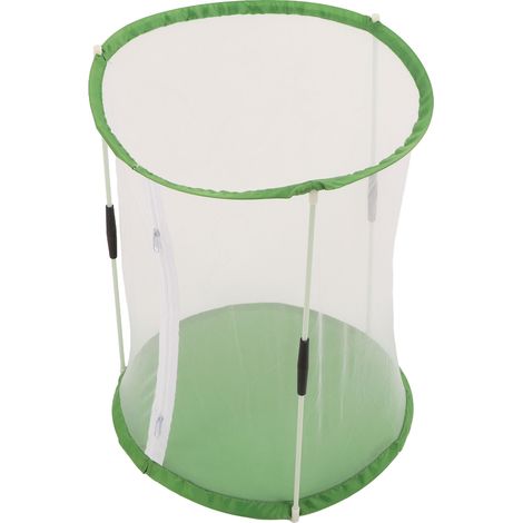 Support cylindrique pour élevage de papillons, cage d'observation d'insectes, filet transparent, cage décorative (1/5)