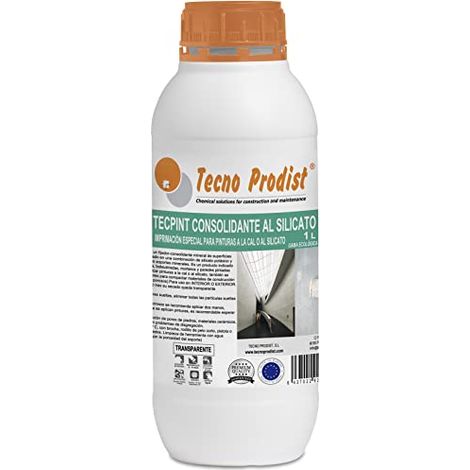 Tecno Prodist Tecpint Consolidante al Silicato - Fijador para Paredes de Piedra, Ladrillo