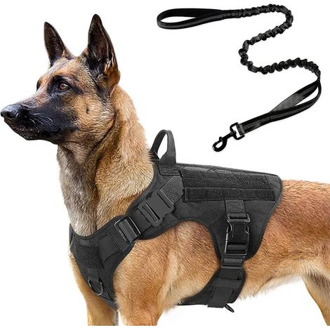 Harnais tactique pour chien et laisse élastique de 1,2 m, ensemble harnais militaire pour chiens de grande et moyenne taille, chasse, entraînement - -- (1/5)