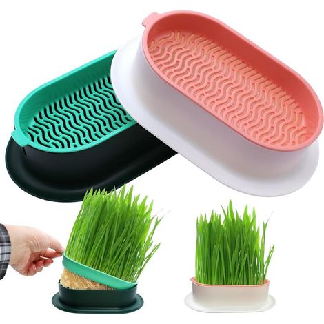 Growing trays for fresh catnip, plastic growing trays for garden, home and office (1/5)