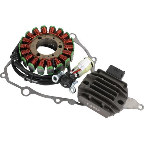 Statore del magnete, materiale di alta qualità, montaggio standard per YFM250R Raptor 250, maggiore durata, sostituzione diretta, compatibile con edizioni speciali (1/5)