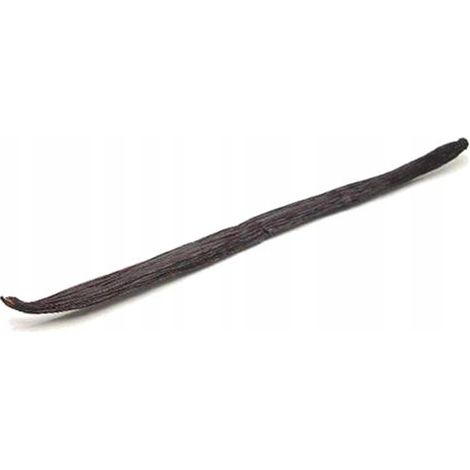 Bastoncini di vaniglia MEGA Bastoncini di vaniglia freschi grandi 15 cm+ (1/2)