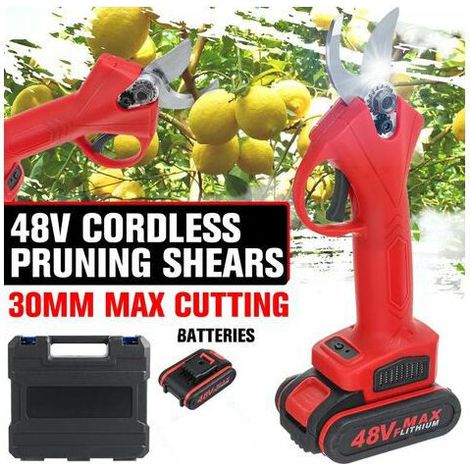 Potatura wireless 48V con batteria rossa inclusa (1/3)