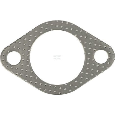 Muffler gasket KUBOTA 1666112370